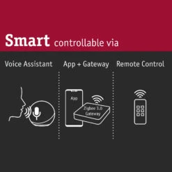 Paulmann LED-Lampe GU10 5W ZigBee 2.700K Dimmbar -Lampen Welt 10000202 2