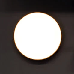 LED-Deckenlampe Panter Mit RGBW- Und CCT-Funktion -Lampen Welt 10000481 6