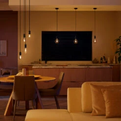 Philips Hue White E27 7W Filament ST72 550lm 9 Philips Hue White E27 7W Filament ST72 550lm -Lampen Welt 10005174 2