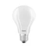 Radium LED Essence Klassik A E27 17W 2452lm Matt -Lampen Welt 10008850