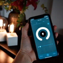 Calex Smart E27 G125 7,5W LED-Filament 1055lm CCT 13 Calex Smart E27 G125 7,5W LED-Filament 1055lm CCT -Lampen Welt 10011085 4