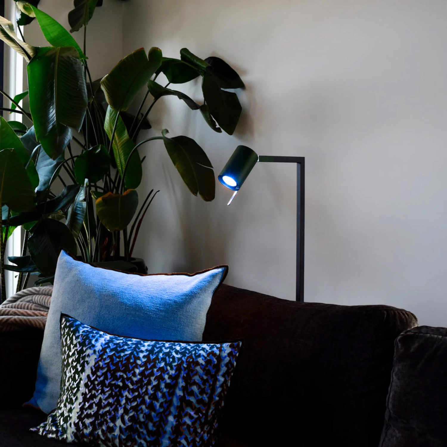 Calex Smart LED-Reflektor GU10 4,9W RGB CCT 2er 2 Calex Smart LED-Reflektor GU10 4,9W RGB CCT 2er – Bild 2