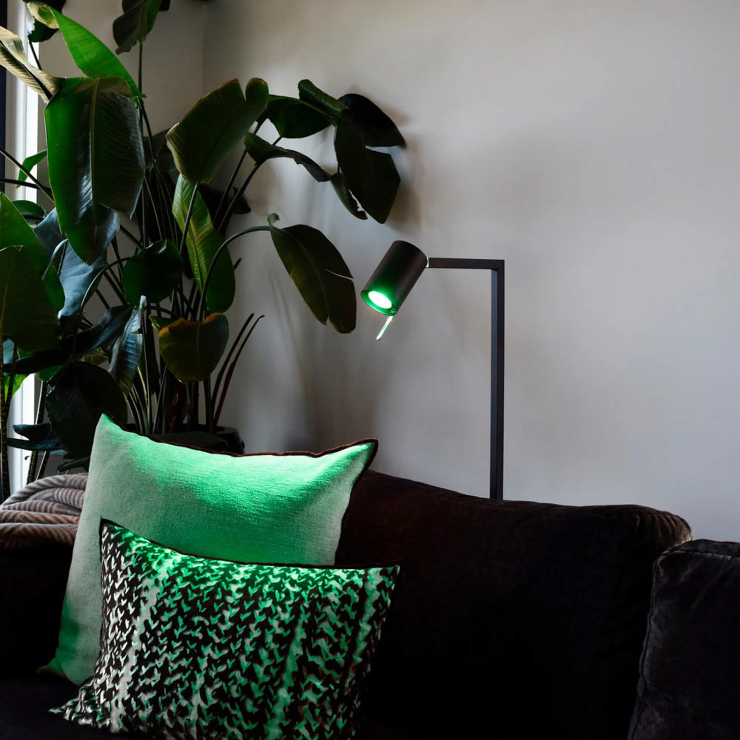 Calex Smart LED-Reflektor GU10 4,9W RGB CCT 2er 3 Calex Smart LED-Reflektor GU10 4,9W RGB CCT 2er – Bild 3