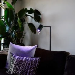 Calex Smart LED-Reflektor GU10 4,9W RGB CCT 2er 11 Calex Smart LED-Reflektor GU10 4,9W RGB CCT 2er -Lampen Welt 10011101 5