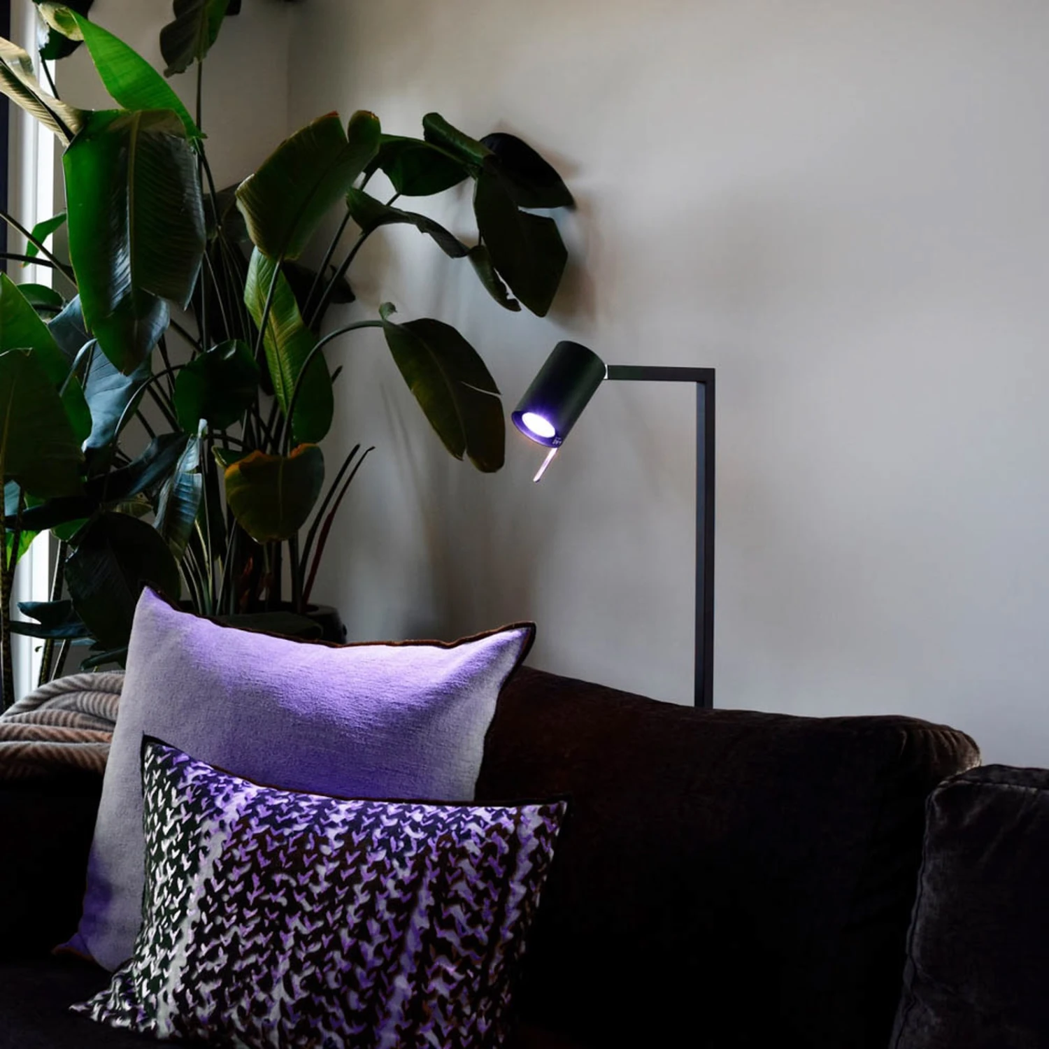 Calex Smart LED-Reflektor GU10 4,9W RGB CCT 2er 6 Calex Smart LED-Reflektor GU10 4,9W RGB CCT 2er – Bild 6