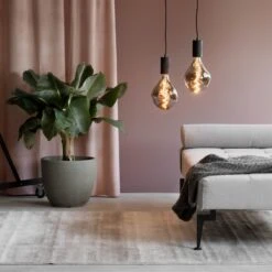 Calex Organic Evo LED-Lampe E27 6W Dim Titan -Lampen Welt 10011245 2