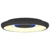 Lindby Lynden LED-Deckenlampe Ø 38cm Schwarz Smart -Lampen Welt 10013313