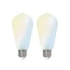 Prios LED-E27-Leuchtmittel ST64 7W WLAN Matt 2er -Lampen Welt 10018408