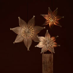 PR Home Agnes Dekostern Naturfaser Hängend Ø 58 Cm -Lampen Welt 10020198 2