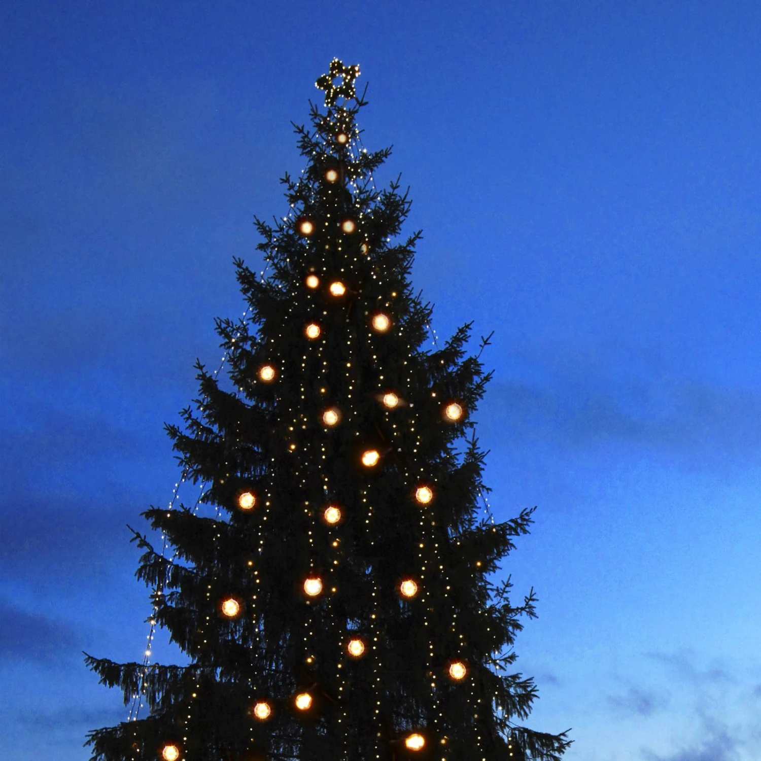 Erweiterungskabel Ring M. 5 Anschlüssen, System 24 4 Erweiterungskabel Ring M. 5 Anschlüssen, System 24 – Bild 4