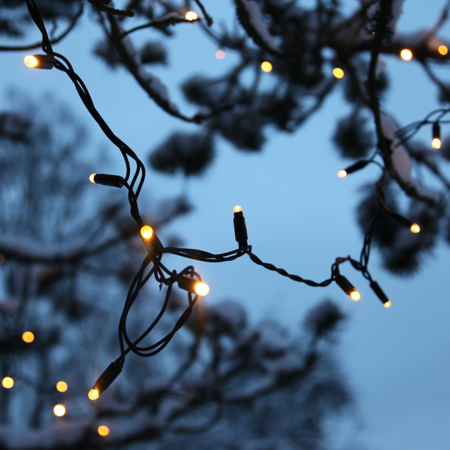 10m LED-Lichterkette Erweiterung System 24, 2.400K 2 10m LED-Lichterkette Erweiterung System 24, 2.400K – Bild 2