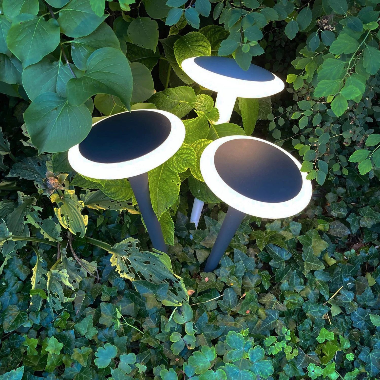 LED-Sockelleuchte Bermuda Mit Erdspieß Schwarzgrau 2 LED-Sockelleuchte Bermuda Mit Erdspieß Schwarzgrau – Bild 2