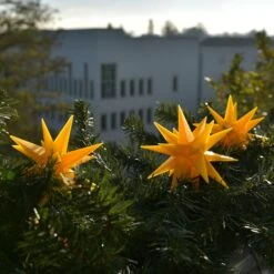 LED-Lichterkette Mit 9 Sternen F. Außen Gelb -Lampen Welt 2506125 2