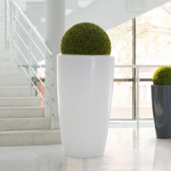 Dekolampe Rovio III Bepflanzbar RGB Weiß -Lampen Welt 2617052 3