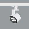 ERCO Parscan 230V Strahler 12W Wallwash 940 Weiß -Lampen Welt 3079089