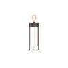 FLOS In Vitro Unplugged LED-Leuchte Braun 3000K -Lampen Welt 3510780