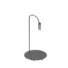 FLOS Caule Floor 2 Nest Stehlampe 2.700K Anthrazit -Lampen Welt 3510884