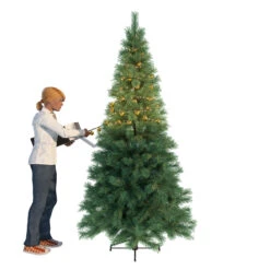 LED-Lichterkette 2in1, Creme-gold, 700 LEDs -Lampen Welt 4544031 2