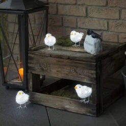 Niedliche Außen-Deko LED Vogelquintett -Lampen Welt 5524547 5