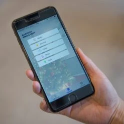 App-gesteuerter LED-Baummantel Innen 240fl -Lampen Welt 5524824 2