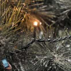 Über App Schaltbare LED-Außen-Lichterkette Micro