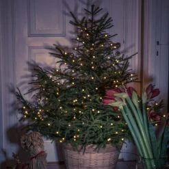 LED-Baummantel M. Vormontierten Globes 200fl -Lampen Welt 5524836 2