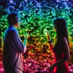 Lichterkette Twinkly RGB, Schwarz, 400-flammig 32m -Lampen Welt 6102015 5