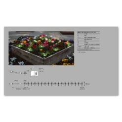 LEDVANCE SMART+ WiFi Garden Dot LED-Spot 18er-Set -Lampen Welt 6106491 6