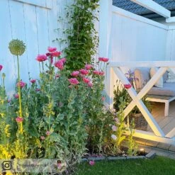 Müller Licht Tint Flores LED-Außenstrahler 3er Set -Lampen Welt 6520404 7