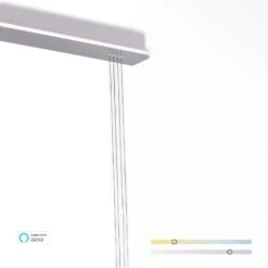 Paul Neuhaus Q-ETIENNE LED-Hängeleuchte, 2-flammig -Lampen Welt 7501840 5