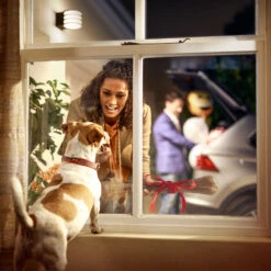 Philips Hue White Lucca Außenwandlampe Steuerbar 15 Philips Hue White Lucca Außenwandlampe Steuerbar -Lampen Welt 7534048 6