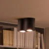 Philips Hue White Ambiance Pillar Spot 2fl Schwarz -Lampen Welt 7534240
