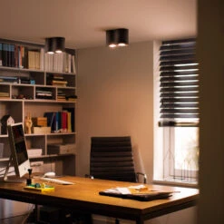 Philips Hue White Ambiance Pillar Spot 2fl Schwarz -Lampen Welt 7534240 7