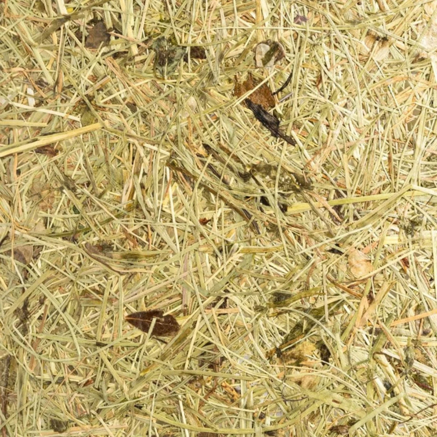 ALMUT 2610 Wandlampe Ø 25cm, Heu Pur 9 ALMUT 2610 Wandlampe Ø 25cm, Heu Pur – Bild 9