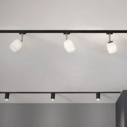 Paulmann URail Spot Blossom Schwarz, Glas Satin -Lampen Welt 7602256 4