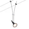 Paulmann Comet Einzelspot Für Seilsystem, Schwarz -Lampen Welt 7602737