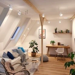 Paulmann Cone Seilsystem Basisset 5fl. Weiß Matt -Lampen Welt 7602836 7