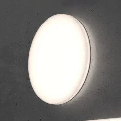 STEINEL RS PRO R10 Plus SC LED-Deckenlampe 3.000 K -Lampen Welt 8506135 3