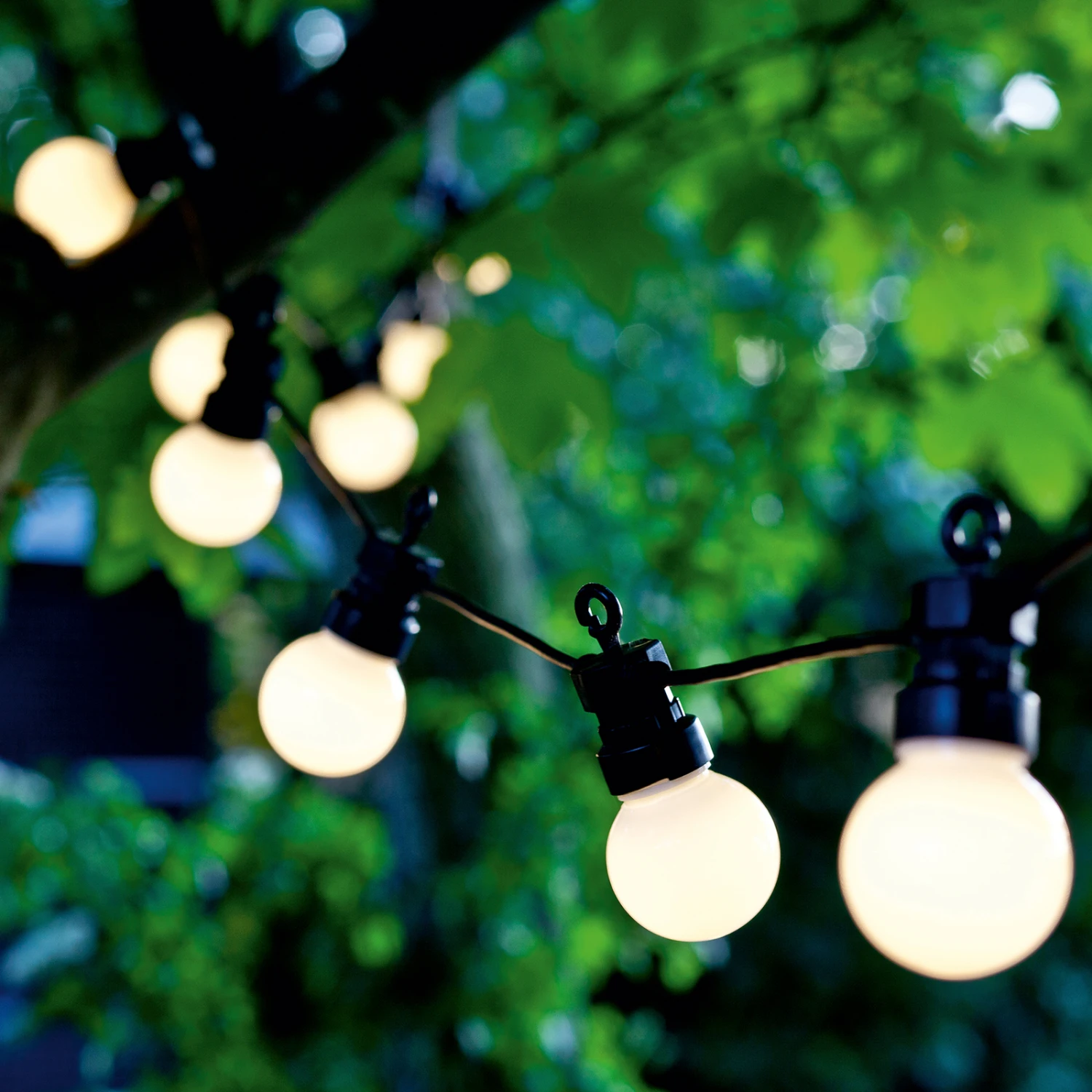 LED-Lichterkette Lucas Start-Set 10-flg. Gefrostet 2 LED-Lichterkette Lucas Start-Set 10-flg. Gefrostet – Bild 2