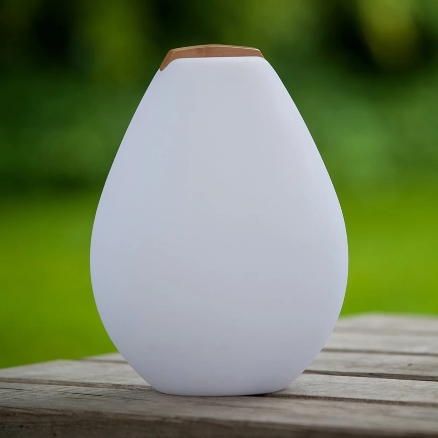 LED-Dekorationsleuchte Vessel 2S Mit Holzgriff 2 LED-Dekorationsleuchte Vessel 2S Mit Holzgriff – Bild 2