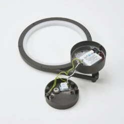 Lucande LED-Außenwandleuchte Mirco, Ringförmig, IP65 -Lampen Welt 9619145 8