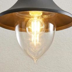 Lindby Edric Außen-Hängeleuchte -Lampen Welt 9630106 5