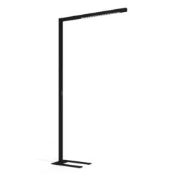 XAL Beto Stehlampe Up/down Sensor/Touch 840 Black